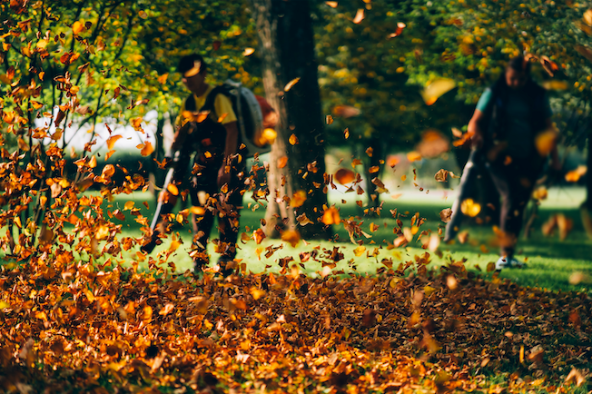 Fin de l'été et automne 2025 : Adaptation au changement de saison